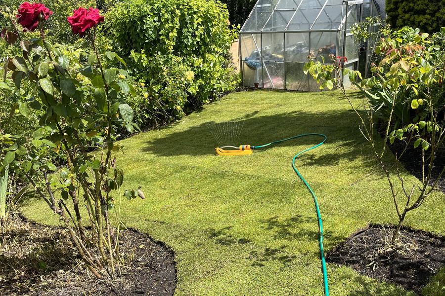 A garden with freshly laid turf forming an even green lawn, edged with planted borders
